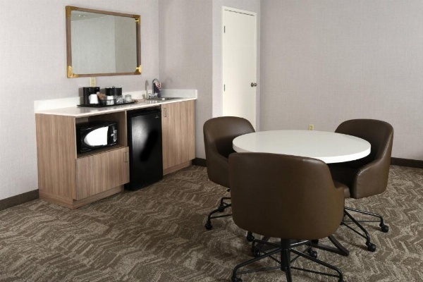 SpringHill Suites by Marriott Des Moines West image 11